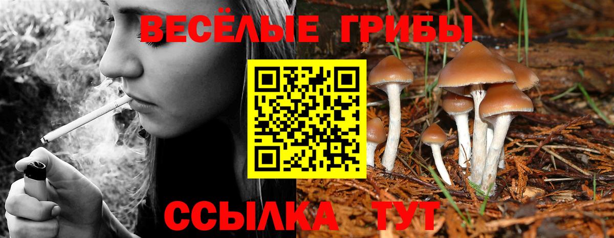 Псилоцибиновые грибы прущие грибы  Вход с VPN  Касимов 