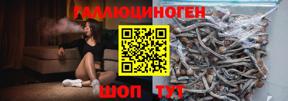 Псилоцибиновые грибы Psilocybe Касимов